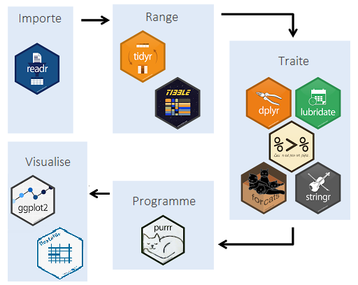Le cycle des données